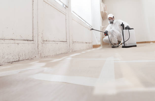 24/7 Emergency Mold Cleanup experts in Nutley, NJ