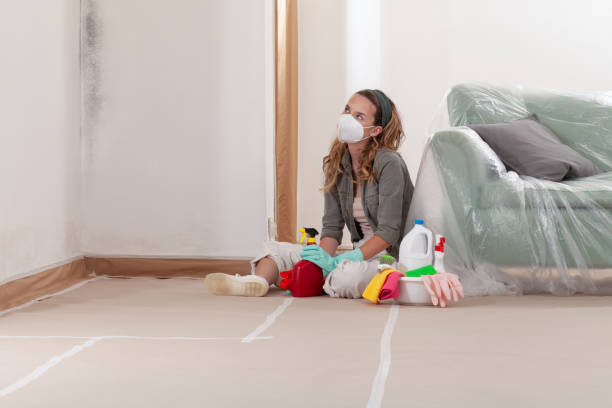 Reliable Mold Cleanup contractor in Nutley, NJ by Cheap Mold Removal